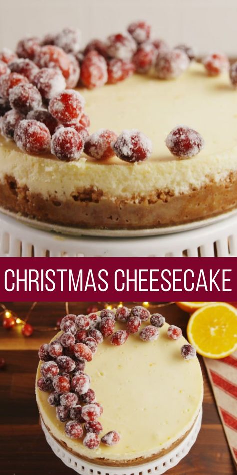 Christmas Cheesecake, cheesecakes. Cheesecake Christmas Decoration, Christmas Tarts Desserts, Christmas Cheesecakes Ideas, Christmas Cheesecake Decoration, Christmas Eve Desserts, Easy Christmas Cakes, Christmas Quiche, Holiday Cheesecake Recipes, Christmas Cheesecake Recipes