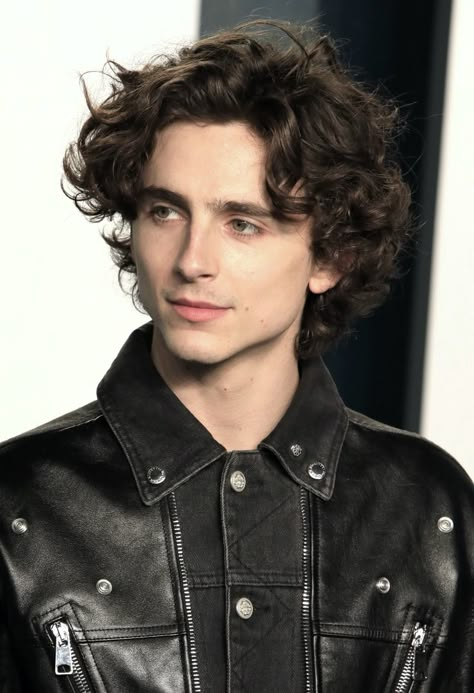 Timothee Chalamet Hair 2022 Timmy Time, Timmy T, Regulus Black, Top Hairstyles, Oscar Party, Vanity Fair Oscar Party, The Perfect Guy, Aesthetic Guys, Hot Actors