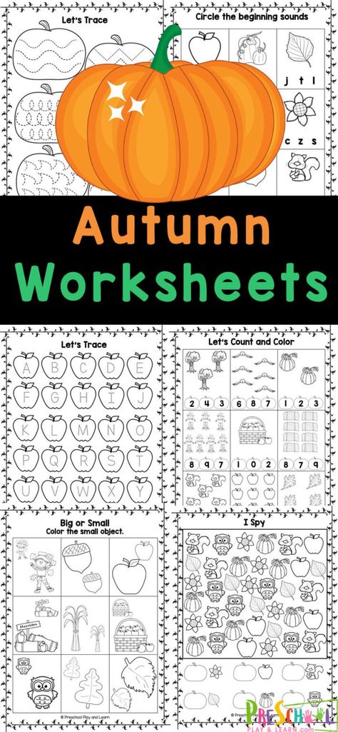 Make practicing math and litearcy skills fun for kids by using these free Autumn worksheets for preschoolers! These fall worksheet for preschool combine cute clipart with important pre-k skills for no-prep educational activities kids will beg to do! Fall Graphing Preschool, Fall Ideas For Kindergarten, Kindergarten Fall Worksheets Free Printables, Fall Playdough Activities, Fall Worksheets For Kindergarten Free, Fall Curriculum Preschool, Fall Fun Preschool Activities, Thanksgiving Worksheets Preschool Free, Leaf Worksheets Preschool