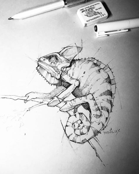 Psdelux Art, Animals Sketching, Cameleon Art Drawing, Lizard Sketch, Draw Chameleon Easy, Chameleon Sketch, Chameleon Drawing, Chameleon Line Art, Chameleon Art Illustration