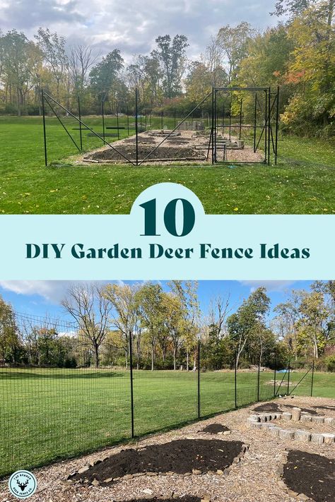 Tall Garden Fence With Gate, Small Fenced Vegetable Garden, Backyard Garden Deer Proof, Vegetable Fence Ideas, Simple Garden Fence Diy, East Garden Fence, Easy Deer Proof Garden Fence, Raised Garden Beds Deer Proof, Fence For Flower Garden