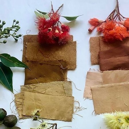 Plants & Colour on Instagram: "Here are some photos from @samorn_sanixay’s research of Australian eucalyptus dye colour. 

🌿✨ You can learn about eucalyptus dyes with Samorn Sanixay ✨🌿 on Tuesday 23rd July 9.30-11.30am BST 

In 2022, supported by the Dahl Fellowship from @EucalyptAustralia, Samorn embarked on a journey across Australia to create a Eucalypt colour map and catalogue. Her mission? To reveal the stunning array of hues that eucalypt leaves can produce through natural dyeing methods. 🌈🍃

Traveling through the tropical beauty of Far-north Queensland, the wild expanses of Southwest WA, and the rugged landscapes of the Ikara-Flinders Ranges, Samorn collected eucalypt leaves from their natural habitats. These diverse environments showcased how the same plant can yield different Eucalyptus Dye, Flinders Ranges, Australian Eucalyptus, Tropical Beauty, North Queensland, Natural Dyeing, July 9th, Natural Dyes, Dye