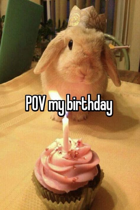 Im always without friends on my birthday bc im always on vacation 😭 Pov Its My Birthday, It’s My Birthday Funny, Birthday Discord Pfp, If Your Reading This Its My Birthday, Its My Birthday Meme, Things I Want For My Birthday, Birthday Mood Pics, My Birthday Meme, Lowkey Birthday