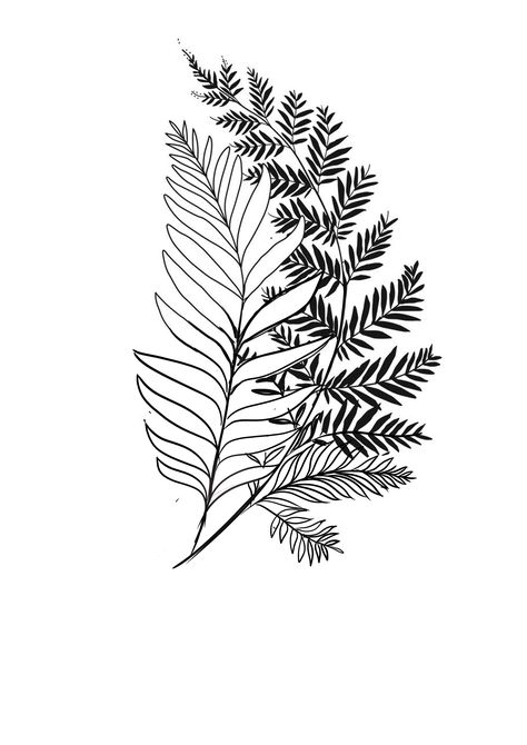 Blackwork Fern Tattoo, Plant Hip Tattoo, Alocasia Tattoo, Fern Leaf Drawing, Fern Leaf Tattoo, Tlou Tattoo, Painted Purses, Lisa Thomas, Shin Tattoo