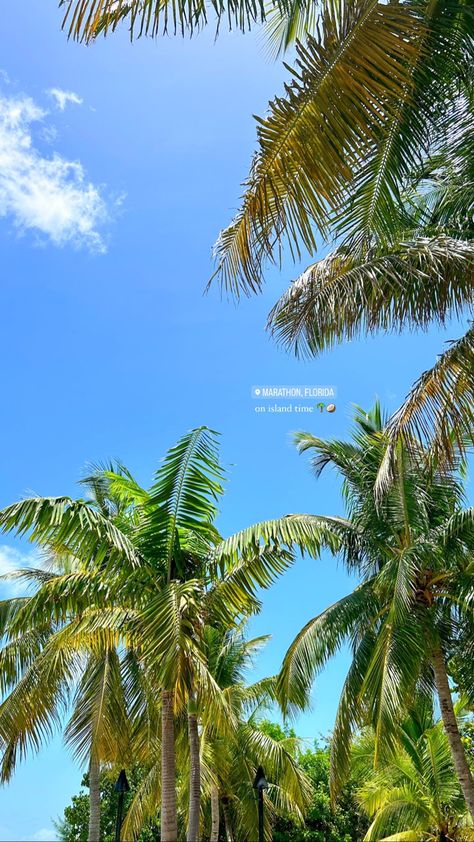 Island Pics Aesthetic, Aesthetic Vacation Photos, Vacation Filler Pictures, Vacation Aesthetic Instagram Story, Tropical Island Picture Ideas, Instagram Story Vacation Ideas, Vacation Instagram Stories Ideas, Beach Instagram Stories Aesthetic, Hawaii Story Instagram