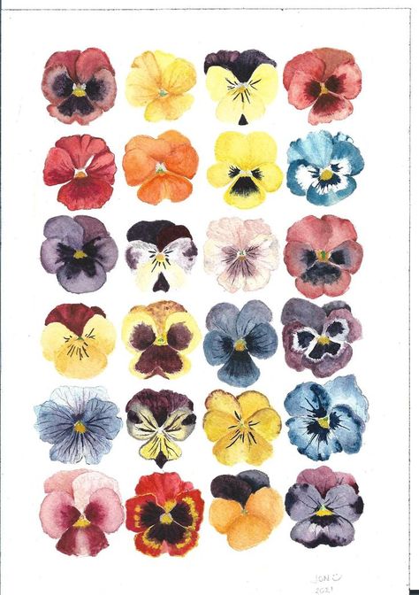 Pansy Flower Painting, Pansy Drawings, How To Paint Pansies, Pansy Watercolor Paintings, Watercolor Floral Design, Pansy Flower Aesthetic, Flowers Drawing Watercolor, Watercolor Painting Aesthetic, Pansies Watercolor