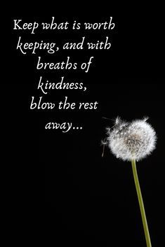 Dandelion Quotes, Another Day, Quotable Quotes, A Quote, Note To Self, The Words, Great Quotes, Wisdom Quotes, Inspirational Words