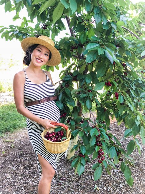 Cherry Picking Outfit, Extra Petite Blog, Midi Gowns, Boys Belt, Los Angeles Food, Cherry Picking, Extra Petite, Local Farm, Maternity Gowns