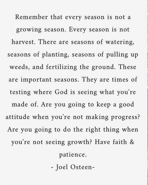 Season Changes Quotes, Tough Seasons Of Life Quotes, Changing Seasons Quotes, Seasons Change Quotes, Season Quotes, Social Media Marketing Plan, Joel Osteen, Seasons Change, Seasons Of Life