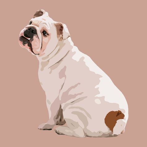 English Bulldog Aesthetic, Bulldog Aesthetic, Aesthetic Vector, English Bulldog Art, Bulldog Wallpaper, Bulldog Clipart, Dog Portraits Art, Wpap Art, Pet Illustration