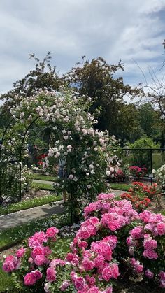 3 Days In Boston, Boston Itinerary, Historic Boston, Garden Full Of Flowers, Boston Travel Guide, Rose Garden Landscape, Garden Video, Terrace Garden Ideas, Rose Garden Design