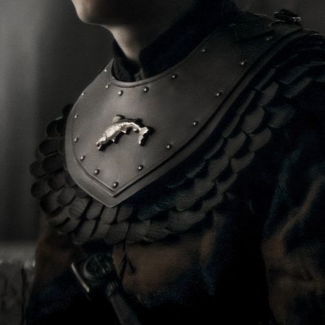 Targaryen King Aesthetic, House Tully Aesthetic, Tully Aesthetic, House Stark Aesthetic, Westeros Aesthetic, Tully House, Fireplace Ashes, Asoiaf Houses, House Tully