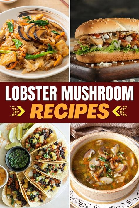 These lobster mushroom recipes are tempting, tasty, and so unique! From tacos to bisque to mac and cheese, these plant-based dishes are sure to please. Dried Lobster Mushroom Recipes, Lobster Mushroom Recipes, Mushroom Rice Recipes, Mushroom Bisque, Vegan Mushroom Soup, Lobster Mushroom, Lobster Roll Recipes, Cream Sauce Pasta, Pulled Pork Nachos