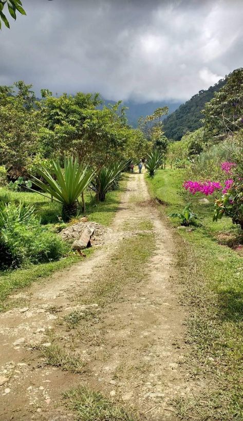 Paisaje de nuestro territorio colombiano. Camino al parque nacional natural, Tatamá. West Indies, Central America