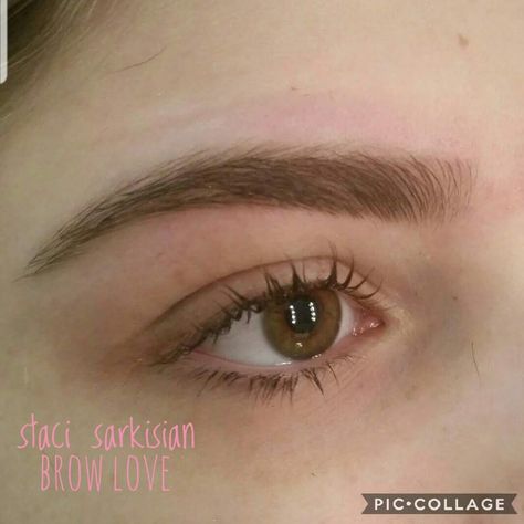 Eye Brow Inspo Natural, Hi Low Brows, Soft Curved Eyebrows, Arched Eyebrows Aesthetic, Thick Shaped Eyebrows, Brow Ideas Eyebrow Shapes, Thick Brown Eyebrows, Soft Brown Eyebrows, Eyebrow Shape Inspiration