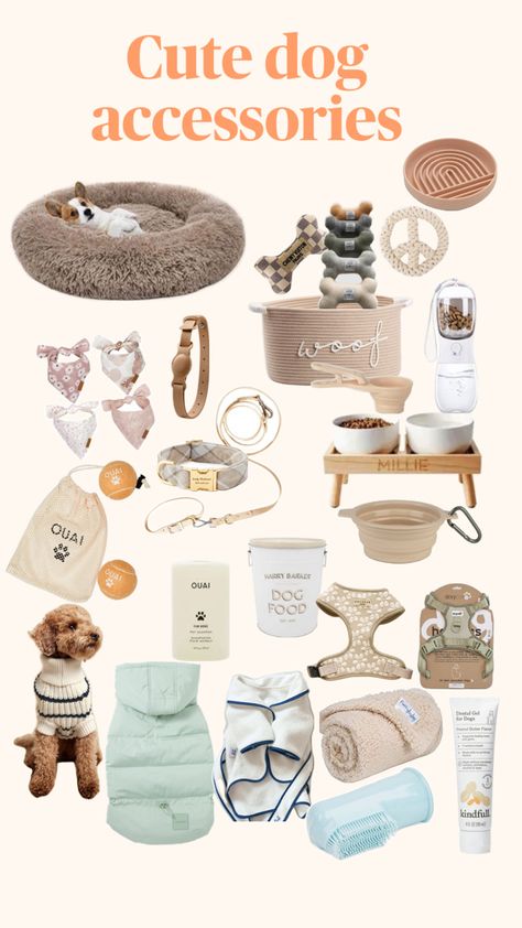 Accessories,beds,clothes,collars,leash,dog toys,dog bowls Cute Puppy Accessories, Dog Room Design, Cute Dog Accessories, Dog Supplies List, New Puppy Checklist, Preppy Dog, Puppy Room, Dog Gift Box, Cute Dog Toys