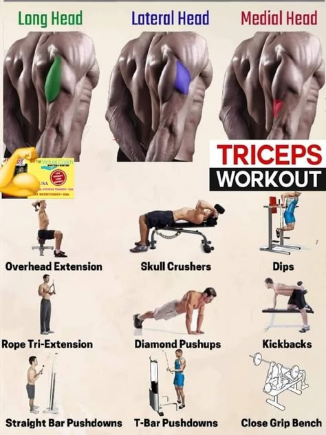 Cheat Workout Gym, Tricep Workout Men, Dumbbell Tricep Workout, Tricep Workout Gym, Tricep Muscles, Tricep Workouts, Triceps Exercises, Tricep Exercises, Bicep And Tricep Workout