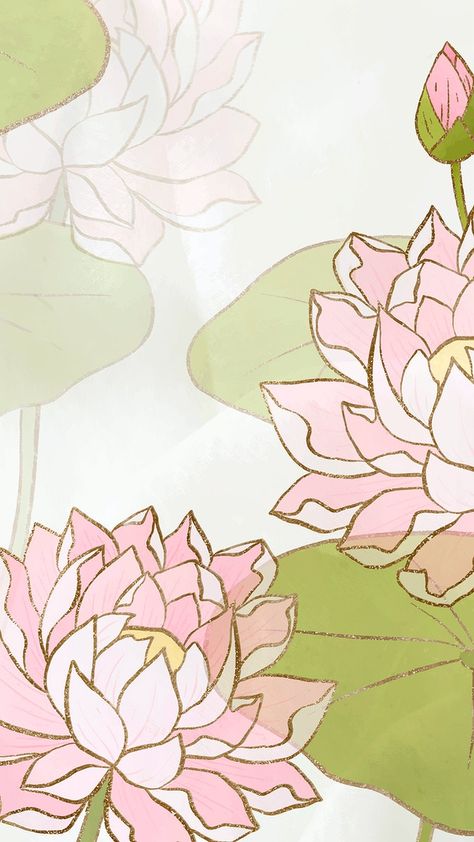 Water Lily Background, Lily Background, Water Lily Drawing, Drawing Borders, Lotus Flower Wallpaper, Lotus Wallpaper, Lilies Drawing, Lotus Flower Pictures, Lily Wallpaper