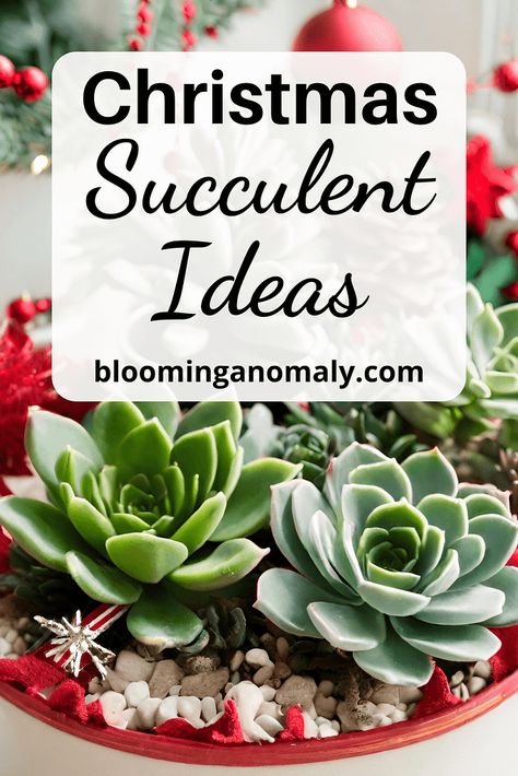 DIY Christmas Succulent Ideas as a Gift and More Christmas Plant Gifts Diy Projects, Succulent Gift Ideas Christmas, Succulent Ideas Indoor, Succulent Christmas Centerpiece, Succulents Christmas Tree, Succulent Christmas Arrangements, Succulent Balls Hanging, Holiday Succulent Arrangements, How To Make A Succulent Christmas Tree