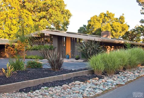 Modern Walkway, Mid Century Modern Landscaping, Mid Century Landscaping, Mid Century Landscape, Curb Appeal Landscape, Mid Century Modern Exterior, Landscape Curbing, Mid Century Exterior, Mid Century Ranch