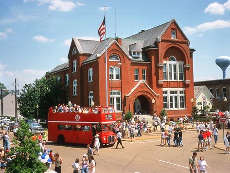 Mississippi Travel, State Of Mississippi, Oxford Mississippi, Oxford Ms, Hotty Toddy, William Faulkner, Ole Miss Rebels, University Of Mississippi, Magnolia Trees