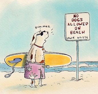 © Debbie Tilley illustration humor whimsical  dogs surfing beach Summer Dog Illustration, Dog Swimming Illustration, Rugby Illustration, Dog Beach Painting, Surfing Cartoon Illustrations, Dogs Beach, Whimsical Dogs, Dog Surfing Illustration, Beach Cartoon