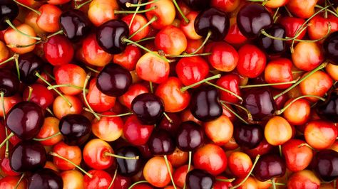 Types Of Cherries, Rainier Cherries, Cherry Ice Cream, Cherry Blooms, Bing Cherries, Cherry Season, How To Make Pie, Cherries Jubilee, Fruit Gifts