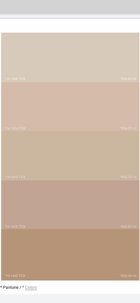 Champagne Palette Colour Schemes, Shampine Colour, Champagne Colour Palette Wedding, Champagne Gold Color Palette, Colour Palette Champagne, Champagne Pallete, Champagne Colour Palette, Pale Pink Pallet Colour Palettes, Champagne Color Palette