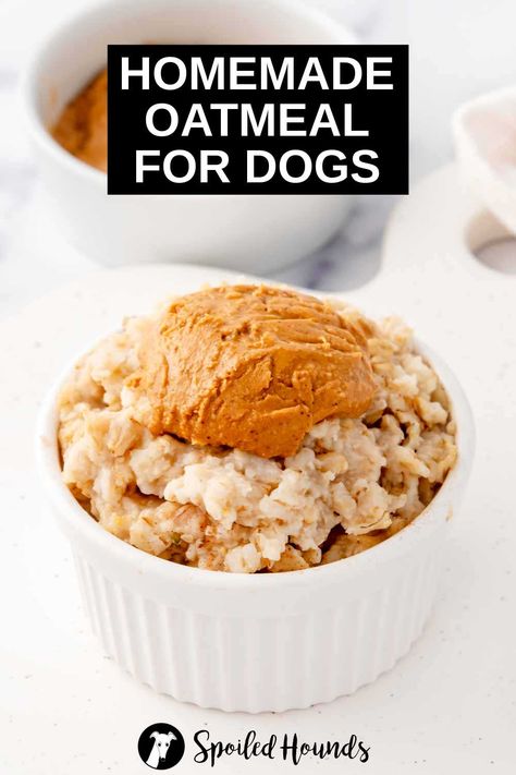 Find out how to prepare oatmeal for dogs on the stovetop or in the microwave with this easy 2 ingredient recipe. Serve it plain or add banana, berries, fruit, peanut butter, pumpkin, applesauce, seeds, or cinnamon for extra flavor. Learn the benefits of oats for dogs. Dog Food With Oatmeal, Oatmeal Dog Food Recipes, Pumpkin Dog Food Recipes, How To Prepare Oatmeal, Oatmeal For Dogs, 2 Ingredient Recipes, Diy Dog Food, Cooking Oatmeal, Homemade Oatmeal