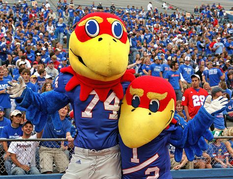 KU Jayhawks Ku Football, Kansas Football, Jayhawks Basketball, Ku Basketball, Kansas Basketball, Go Ku, Sports Management, Pg 6, Rock Chalk Jayhawk