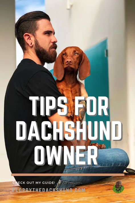 Dachshund Facts, Dachshund Puppy Funny, Dachshund Breed, Dachshund Clothes, Weiner Dogs, Selective Breeding, Miniature Dachshunds, Sausage Dogs, Blue Prints