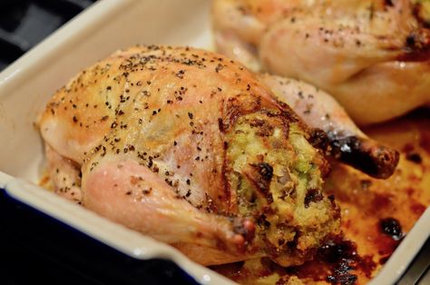 Cornish Hens Stuffed With Dressing, Cornish Hen Stuffed, Cornish Hen Recipe Stuffed, Cornish Hen Stuffing, Cornish Hen Recipe Baked Stuffed, Rock Cornish Hens Recipes, Stuffed Cornish Hen Recipe With Stuffing, Cornish Game Hen Recipes Stuffed, Stuffed Cornish Hens Recipes