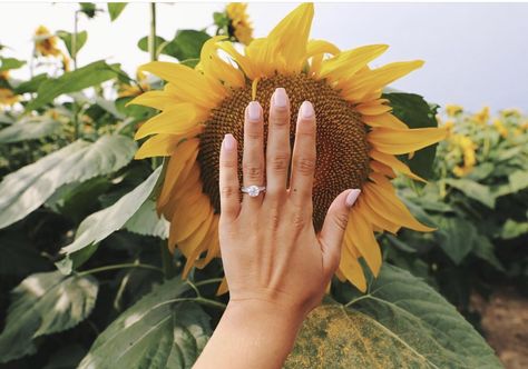 Wedding Goals Dreams, Sunflower Field Pictures, Kristin Johns, Sunflower Patch, Sunflower Photography, Wedding Engagement Pictures, Sunflower Photo, Engagement Pictures Poses, Country Engagement