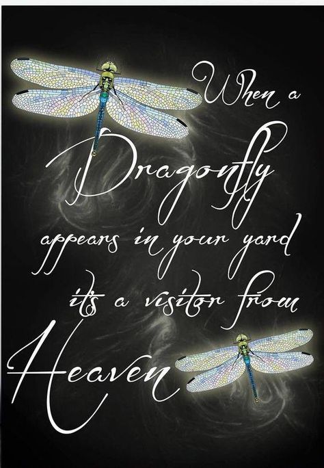 Everything Dragonfly | Look at this !!😍😍😍 | Facebook Mom Signs, Dragonfly Quotes, Tattoo Baby, Dragonfly Tattoo, Dragonfly Art, Girl Tattoo, Neat Ideas, After Life, Dragonflies