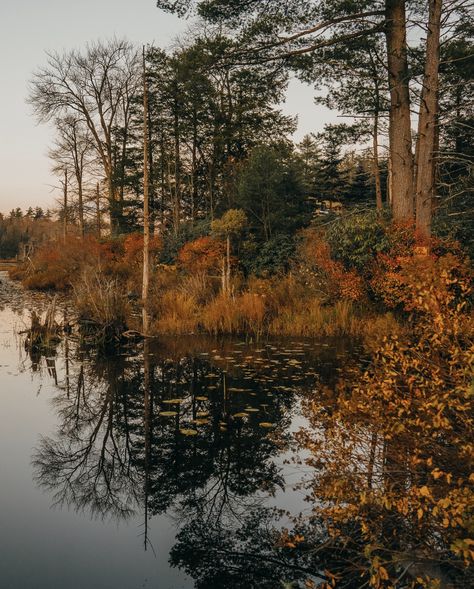 New in EB real estate: Cranberry Pond House in Parksville, NY ✨ Just over 100 miles from NYC, travel down a dirt country road to Cranberry Pond House, a cozy bungalow-style home on nearly 10 acres of secluded land. Surrounded by wildflower meadows, wooded forest, a scenic pond and a spacious grassy lawn, this private home maximizes both its inside and outside space, with two bonus guest cottages in addition to its three main bedrooms. Features include: 🏠 Three bedroom, two bathroom bungalo... Pond In Woods, Cozy Bungalow, Pond House, Nyc Travel, Bungalow Style, Private Home, Guest Cottage, Main Bedroom, Country Road