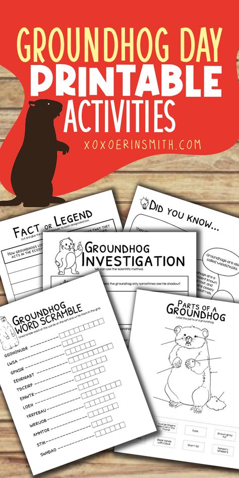 groundhog day activities for kids free printable worksheets Groundhog Day Activity, Groundhog Day Homeschool, Free Groundhog Day Printables Kids, Free Groundhog Day Activities, Groundhog Day Activities For Kids, Free Groundhog Day Printables, Groundhogs Day Activities, Groundhog Day Worksheets, Groundhog Day Printables