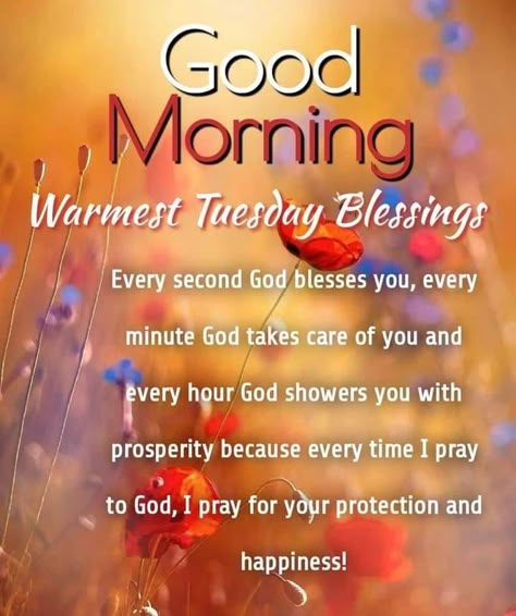 Good Morning Happy Tuesday Blessings, Tuesday Morning Quotes Inspiration, Tuesday Morning Prayers, Tuesday Morning Blessings, Tuesday Blessings Mornings, Good Morning Tuesday Blessings, Tuesday Morning Wishes, Good Morning Saturday Wishes, Tuesday Quotes Good Morning