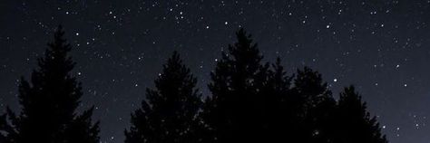 Night Sky Header Twitter, Forest Header, Sky Twitter, Sky Anime, Twitter Header Pictures, Forest Night, Twitter Header Aesthetic, Twitter Banner, Header Pictures