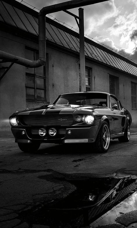 60s Muscle Cars, Shelby Car, Ford Mustang Shelby Gt500, Ford Shelby, Shelby Gt500, Ford Mustang Shelby, Classic Car, Ford Mustang, Muscle Cars