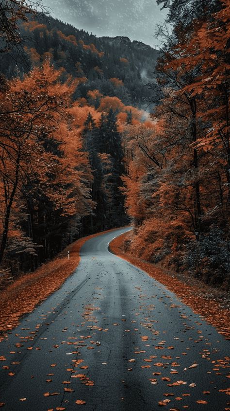 40+ Stunning And Dreamy Fall Phone Wallpapers Fall Magic Aesthetic, Forest Fall Wallpaper, Scenic Fall Wallpaper, Fall Photos Pumpkins, Fall Forest Wallpaper Iphone, Cool Fall Pictures, Pretty Pictures Of Nature, Best Iphone Lock Screen Wallpaper, 4k Fall Wallpaper