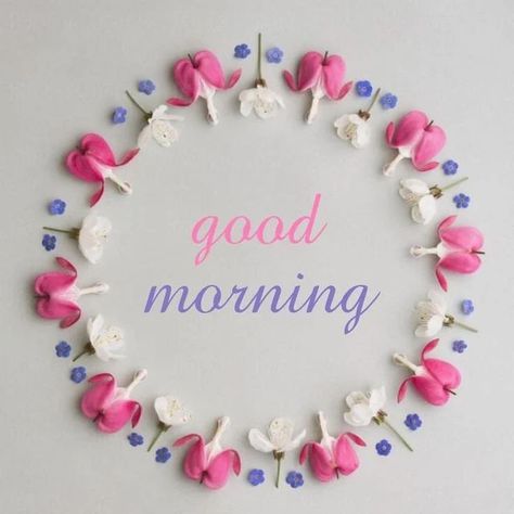 Best Good Morning Images on Instagram: "#goodmorningquotes #GoodMorningEveryone #goodmorningwishes #goodmorning" Best Good Morning Images, Good Morning Sun, Good Morning Gift, Morning Gifs, Good Morning Pics, Morning Wednesday, Beautiful Birthday Wishes, Good Morning Motivation, Dove Pictures