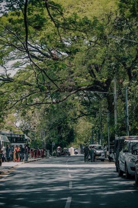 Kochi Night, Fort Kochi, Vintage Filter, Anime Kiss Gif, Kiss Gif, Vintage Filters, White Pictures, Snap Streak, City Drawing