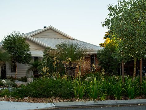 Waterwise Verge Guidelines Verge Garden, Australian Native Garden, Australian Native Plants, Water Wise, Native Garden, Australian Native, Best Practice, Front Garden, Native Plants