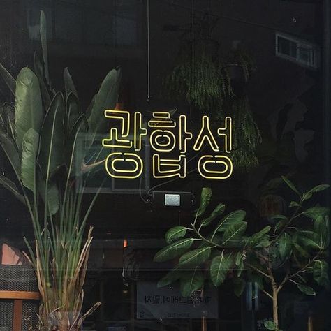 Dark Green Aesthetic, Korean Aesthetic, Green Aesthetic, Aesthetic Photo, Aesthetic Photography, Land Scape, Dark Aesthetic, Green And Orange, Aesthetic Pictures