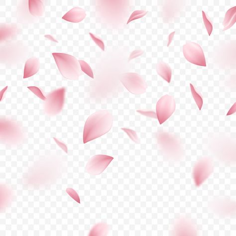 Sakura Petals, Blossom Background, Sakura Pattern, Sakura Wedding, Spring Vector, Realistic Background, Japanese Background, Bike Couple, Duke Bike