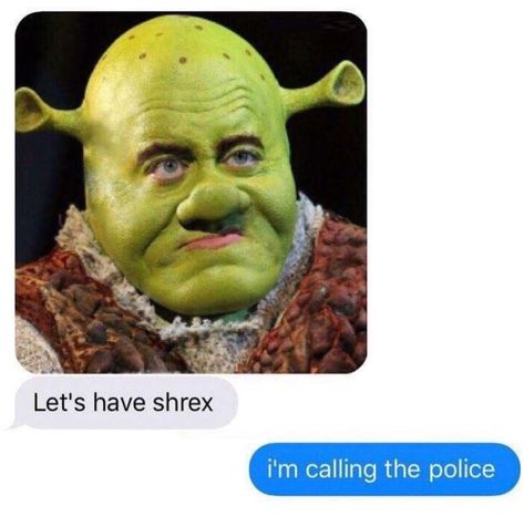 I'm Calling The Police, Funny Af Memes, Shrek Memes, Roblox Face, Funny Conversations, Send Text Message, Memes Hilarious, Daily Funny, Funny Text Messages