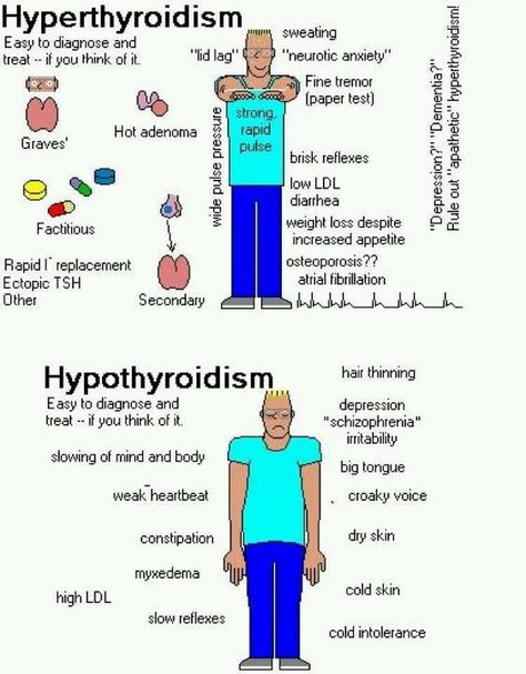 Hypothyroidism And Hyperthyroidism health, fitness, thyroid #fastsimplefit Like Us on: www.facebook.com/FastSimpleFitness Health Insurance Quotes, Nursing Mnemonics, Endocrine Disorders, Nursing School Survival, Nursing School Studying, Med Surg, Nursing School Tips, Nursing School Notes, Visceral Fat