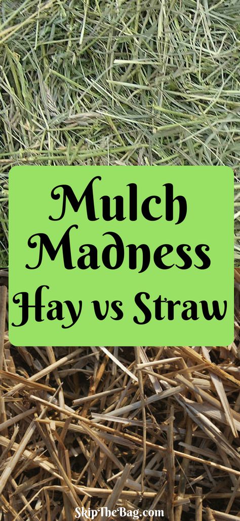 Differences between hay and straw  as mulch for the garden. Mulch Garden, Small Farming, Garden Mulch, Edible Gardening, Pergola Pictures, Homestead Ideas, Food Gardening, Making Plant Pots, Homestead Gardens