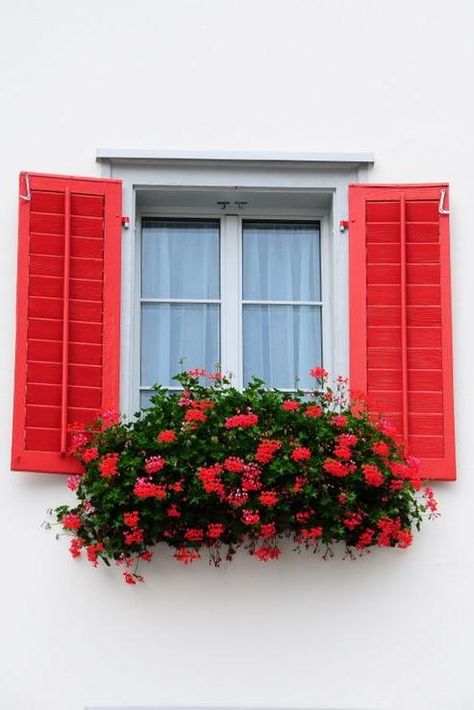 Match the Flowers | Go bold at home. We can bet you’ve driven by an adorable house with a bright yellow door and thought, “I wish I could do that to my house.” Good news: you can! Painting your exterior window shutters is an easy and low-cost way to add curb appeal to your house. Bright shutter colors like aqua, red, green, and even purple will completely transform your home. If you’ve been looking for ways to add curb appeal to your home without an expensive add-on or an entire exterior coat of Small Shutters, Window Shutters Exterior, Shutter Colors, Painting Shutters, Shutter Designs, Window Box Flowers, House Of Turquoise, Yellow Doors, Window Shutters