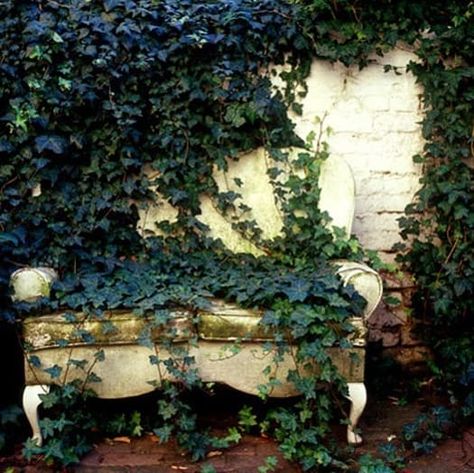 Interior design inspiration: Debi Treloar Photography Gothic Garden, Garden Spaces, Cottage Chic, Dream Garden, Garden Room, Interior Design Inspiration, Garden Inspiration, Secret Garden, Beautiful Gardens